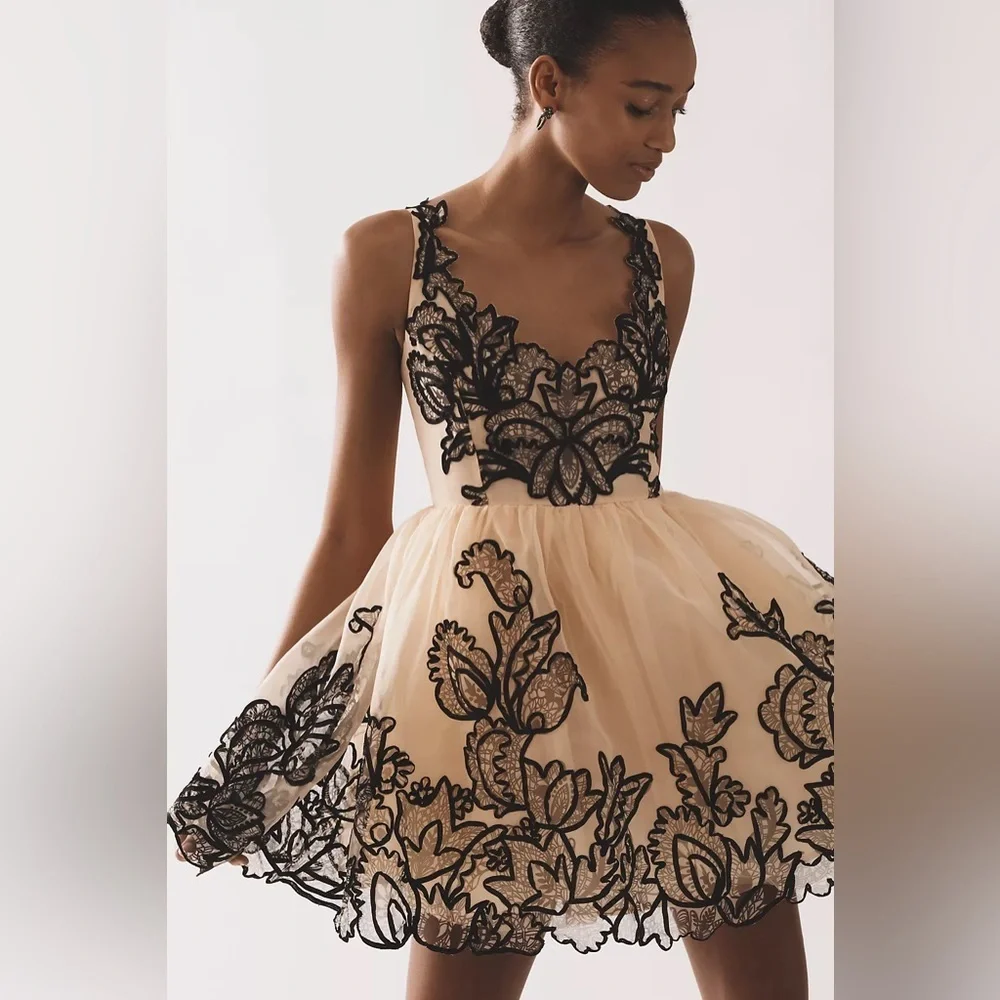 NWT Size 10 - Maeve Sleeveless V-Neck Lace Fit & Flare Mini Dress - Picture 3 of 16